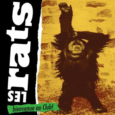 Rats (Les): Bienvenue au club CD